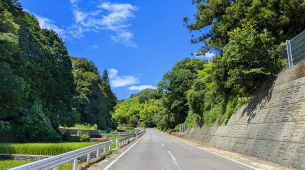 夏の風を感じる道 風景,自然,道路の写真素材