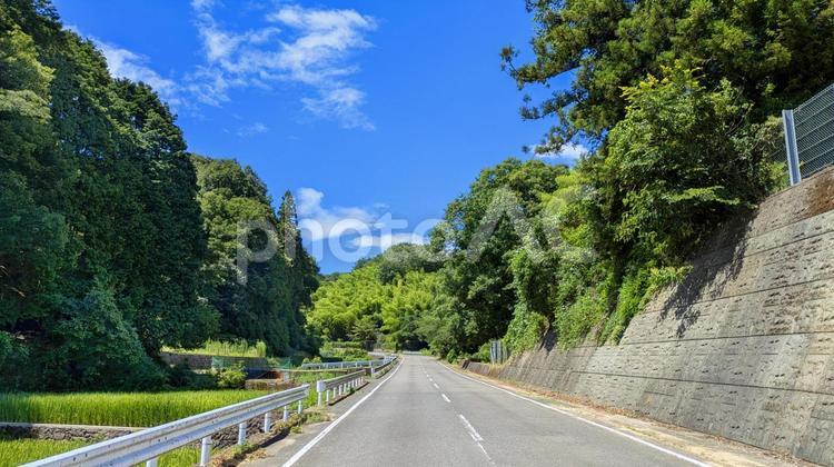 夏の風を感じる道 風景,自然,道路の写真素材