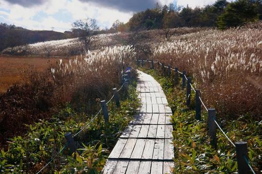 八島湿原 高原,草原,湿原の写真素材