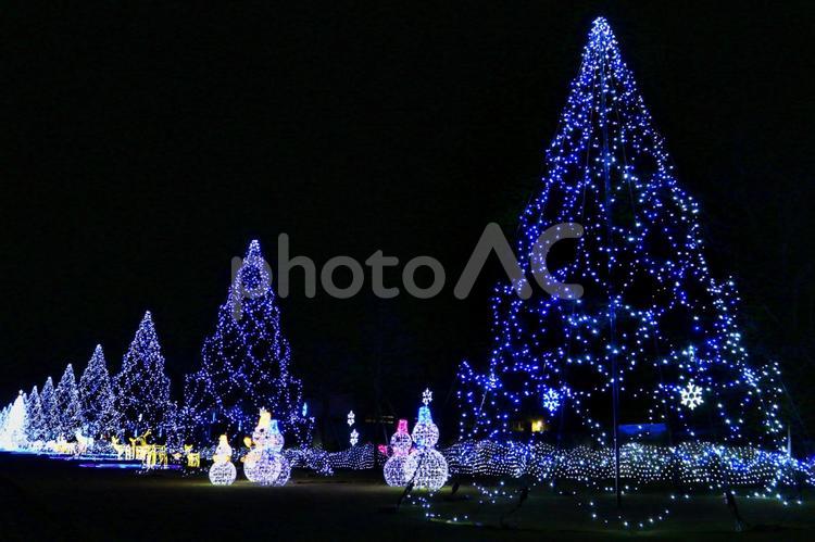 イルミネーション イルミネーション,クリスマス,光の写真素材