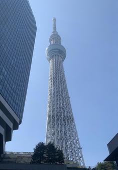 スカイツリー スカイツリーの写真