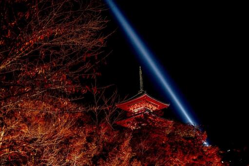 京都　清水寺三重塔　紅葉　ライトアップ 清水寺,三重塔,京都の写真素材