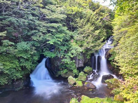 夏の龍頭の滝 夏の龍頭の滝 滝,日光,幻想的の写真素材