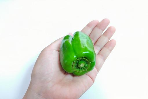 ピーマン ピーマンの写真