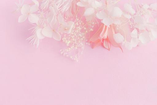 ピンクの花の背景 ピンクの花の背景の写真