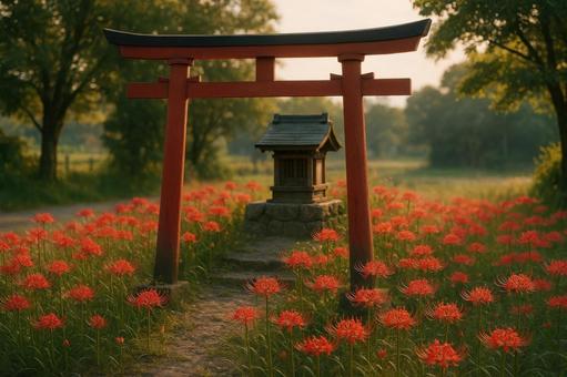 小さな神社の鳥居と彼岸花 小さな神社の鳥居と彼岸花の写真