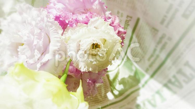 爽やかな花のある風景 花束,爽やか,涼しげの写真素材