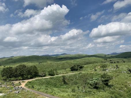 高原の風景 秋吉台,高原,山口の写真素材