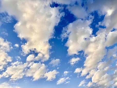 【風景写真】夏空 夏空,空,雲の写真素材