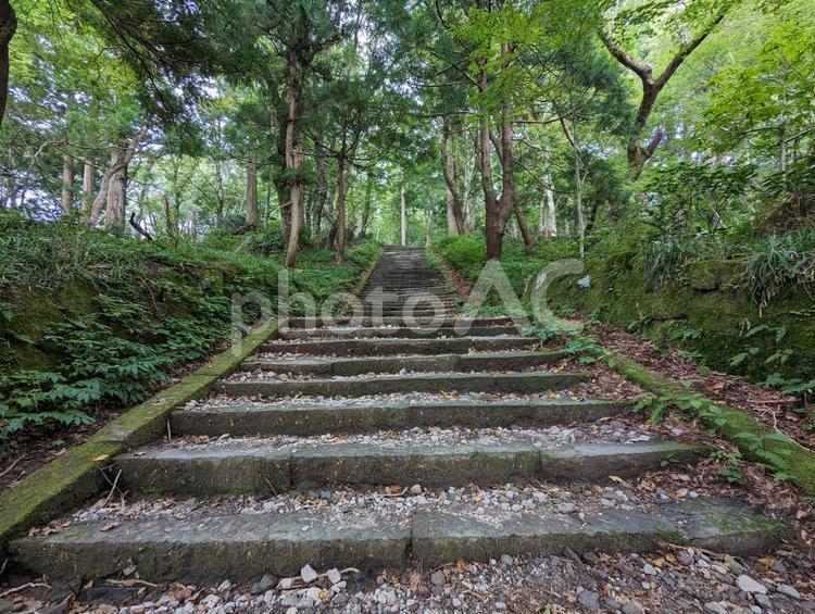 山の中の木々に囲まれた階段 山,風景,木の写真素材