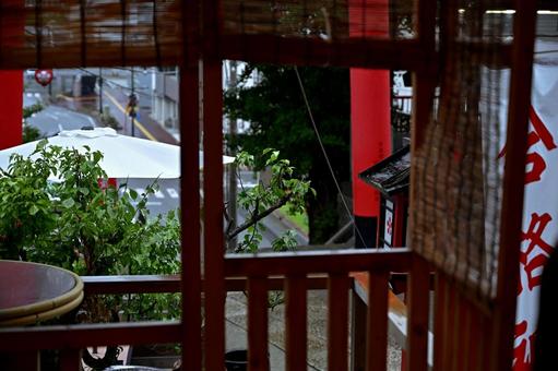 徳島市の雨模様の神社で映える緑 神社,徳島,緑の写真素材