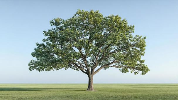 生命力溢れる雄大な一本木 生命力溢れる雄大な一本木の写真
