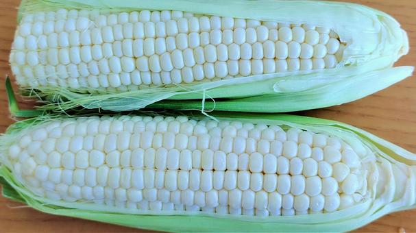 White corn 010, kukurydza, kukurydza, kukurydza, JPG