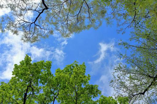春の空 春の空の写真