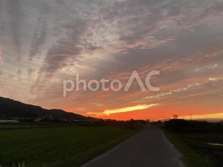 夕焼け 夕焼け,夕日,空の写真素材