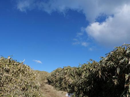 竜ヶ岳の青空 竜ヶ岳の青空 青空,冬,竜ヶ岳の写真素材