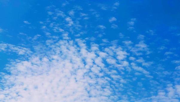 秋晴れの青空とうろこ雲 季節素材 秋晴れの青空とうろこ雲 季節素材の写真