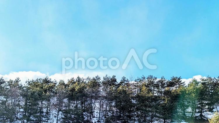 林と雲と青空 青空,空,林の写真素材