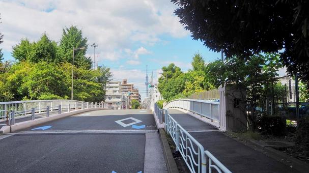 初秋の千田橋&東京スカイツリー(江東区) 初秋の千田橋&東京スカイツリー(江東区) 初秋,東京スカイツリー,千田橋の写真素材