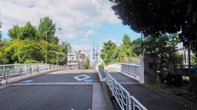 初秋の千田橋＆東京スカイツリー（江東区） 初秋,東京スカイツリー,千田橋の写真素材