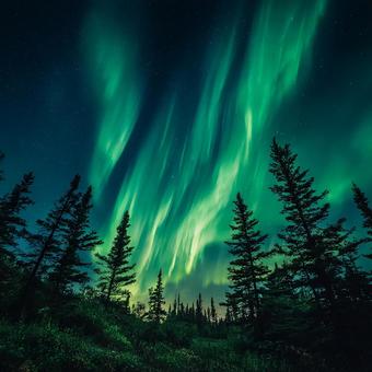 上空に広がる鮮やかな緑のオーロラ 上空に広がる鮮やかな緑のオーロラの写真