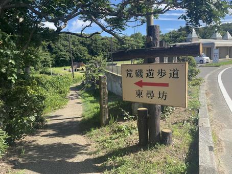 荒磯遊歩道　東尋坊の写真