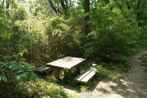 森に佇むベンチの写真
