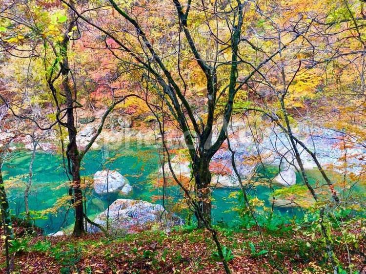 秋の抱返り渓谷　2 抱返り渓谷,秋田,秋の写真素材