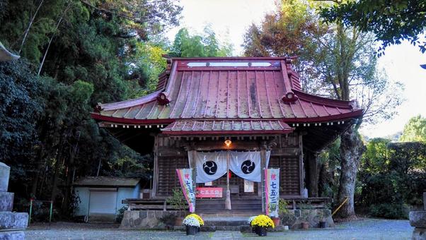 秋の飯山温泉・龍藏神社&秋色の木・厚木市 秋の飯山温泉・龍藏神社&秋色の木・厚木市 秋,飯山温泉,厚木市の写真素材