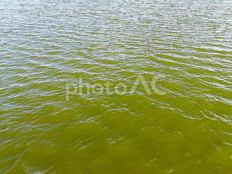 美しい波紋　溜め池　素材 波紋,波,ウェーブの写真素材