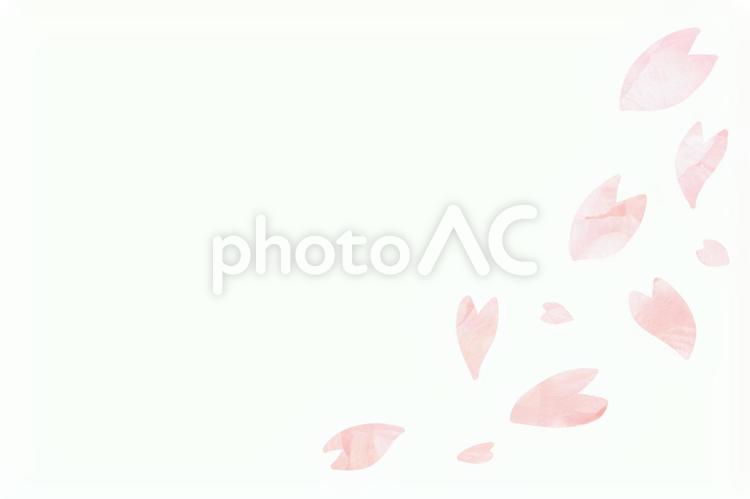 桜の花びらのフレーム 桜,フレーム,春の写真素材