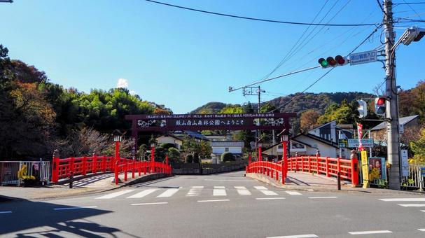 秋の飯山温泉・庫裡橋＆秋色の木（厚木市） 秋,飯山温泉,厚木市の写真素材