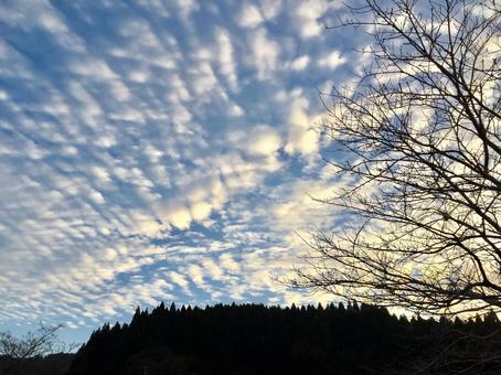 雲と空 雲と空の写真
