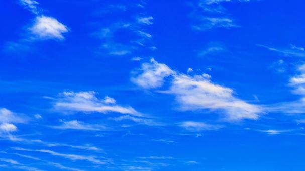 Photo, summer, blue sky, sunny, 