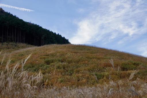 秋の空とすすきの写真