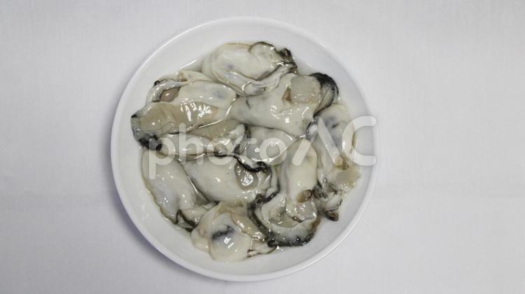 牡蠣むき身盛り合わせ（黄） 牡蠣,むき身,シーフードの写真素材
