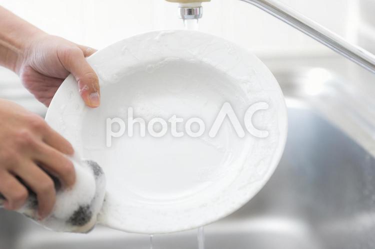 食器を洗う女性の手 食器,皿,お皿の写真素材