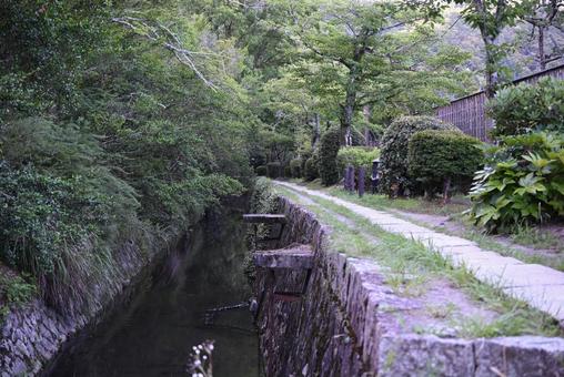 静寂 静寂 歩道,散策,風景の写真素材