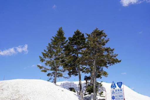 Photo, sky, landscape, sunny, 
