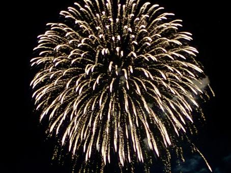 夜空に咲く大輪の花火 夜空に咲く大輪の花火の写真