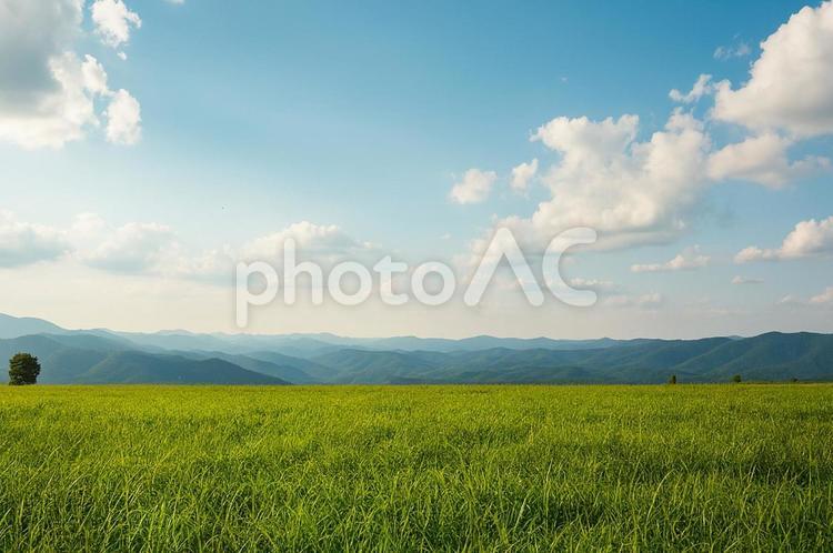 緑の草原と山々 草原,山,空の写真素材