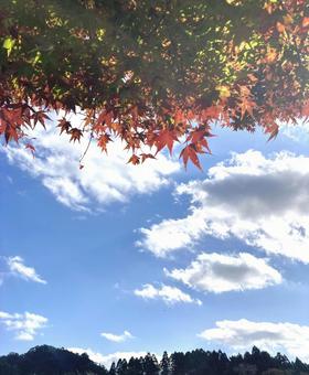 農溝の滝の紅葉 天気,日差し,イメージ素材の写真素材