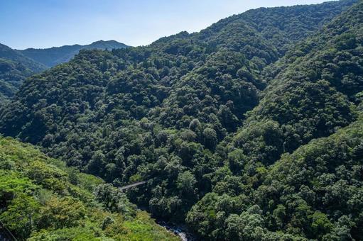 綾町の照葉大吊橋上から見た景色 綾町の照葉大吊橋上から見た景色の写真