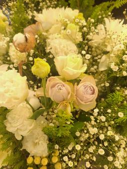 Photo, flower, flour, flower arrangement, 