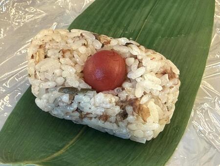 笹巻きおむすび 笹巻きおむすび,笹巻き,国産笹の写真素材