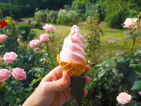 バラのソフトクリーム ソフトクリーム,バラソフト,バラ園の写真素材