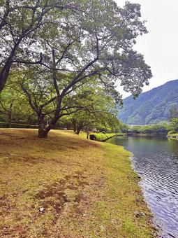 下北山公園 夏の公園 下北山公園 夏の公園 奈良県下北山村,アウトドア,温泉の写真素材