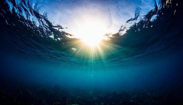 水中から見た太陽の輝き 水中から見た太陽の輝きの写真