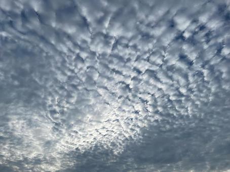 ウロコ雲 巻積雲 秋空 鱗 イワシ雲 ウロコ雲 巻積雲 秋空 鱗 イワシ雲 ウロコ雲,巻積雲,秋空の写真素材