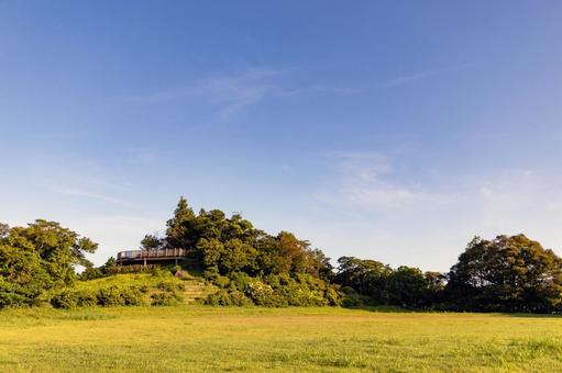新緑の広がる公園 新緑の広がる公園 風景,青空,空の写真素材